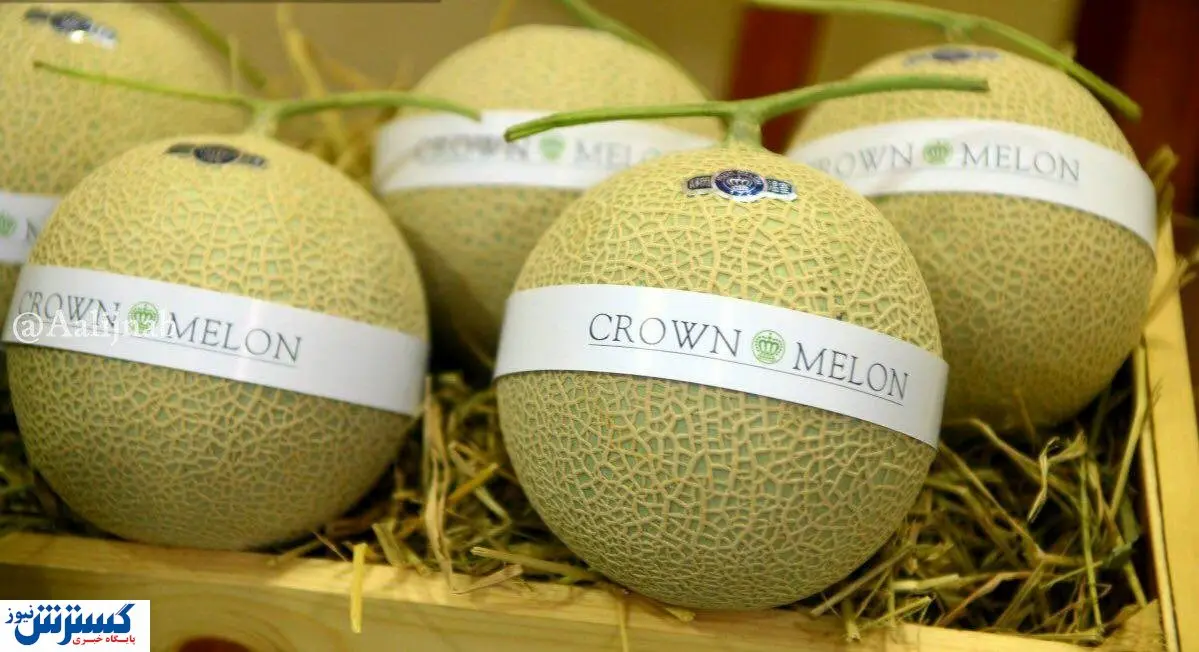 با میوه ۶۰ میلیون تومانی آشنا شوید + عکس