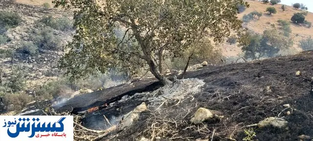 مهار آتش سوزی اولیه خائیز با ورود بالگرها/ احتمال شعله ور شدن مجدد