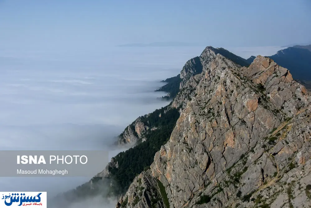 تصاویر / وقتی کویر و جنگل به هم می رسند