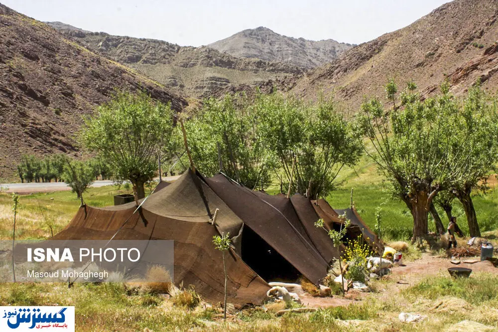 تصاویر / لحظات تماشایی از طولانی ترین مسیر کوچ جهان