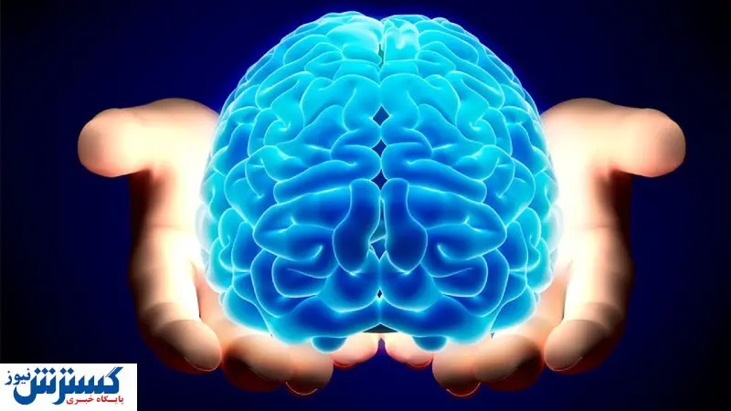 مغزتان را به چالش بکشید / با ۵ ورزش ساده باهوش شوید!