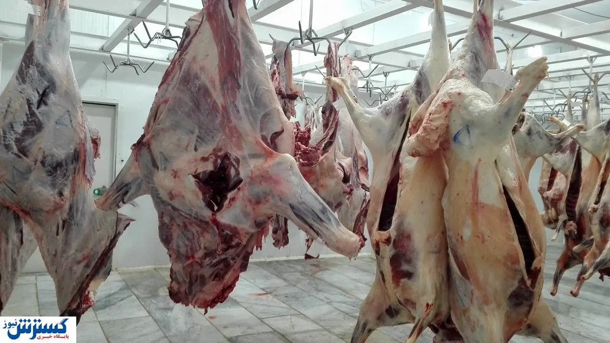 درآمد پنهانی که بازار کشتارگاهها را سکه کرد