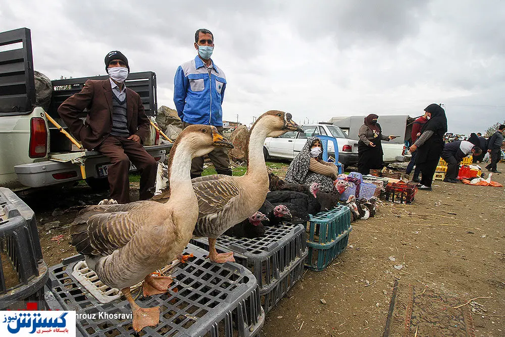 تصاویر/ بازارچه ای برای خریداران کرونا