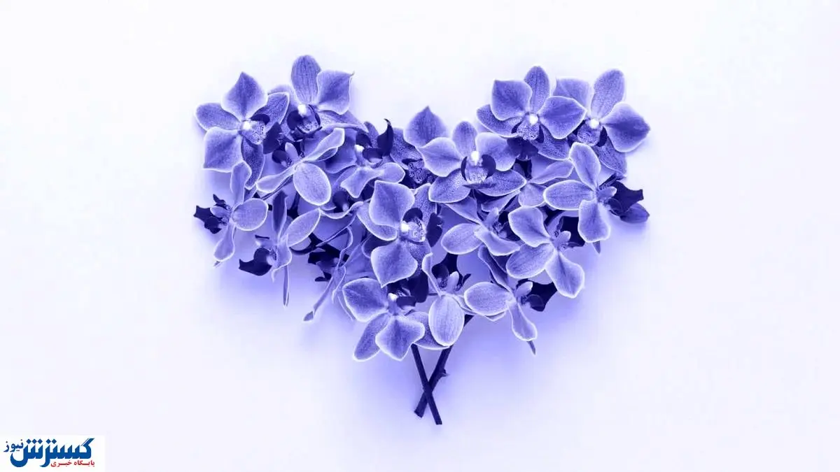 رنگ سال ۲۰۲۲ نماد چیست؟