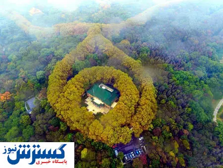 قصری که شبیه گردنبند زمرد است + عکس