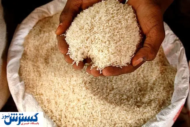 عرضه اینترنتی انواع برنج تنظیم بازاری + جزییات