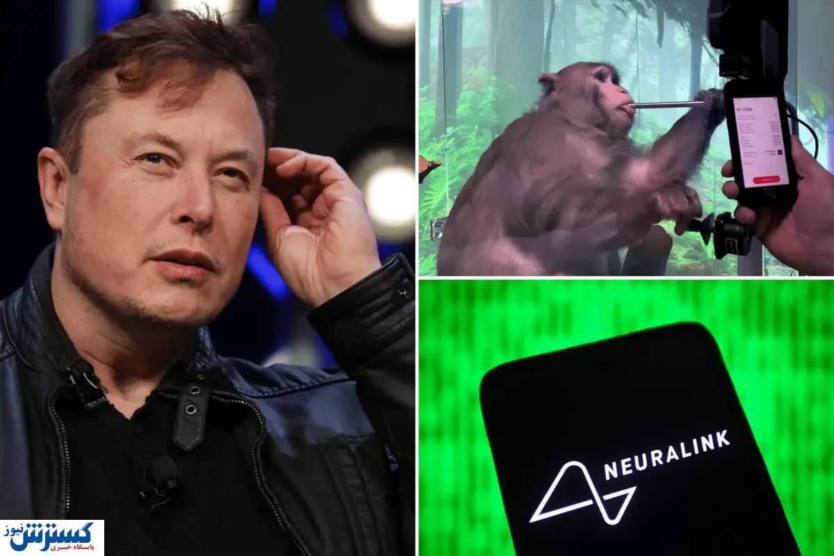 حیات وحش قربانی آزمایش عجیب ایلان ماسک شد