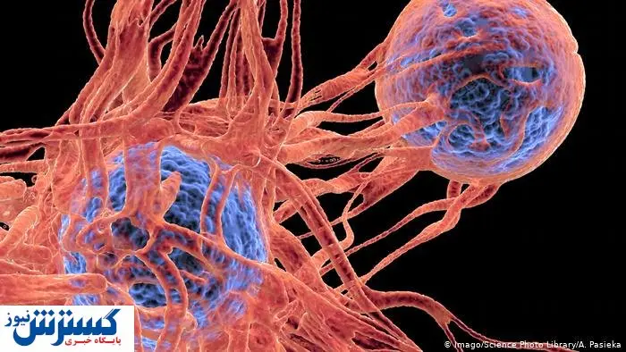 نقشه آمریکایی برای فریب سرطان