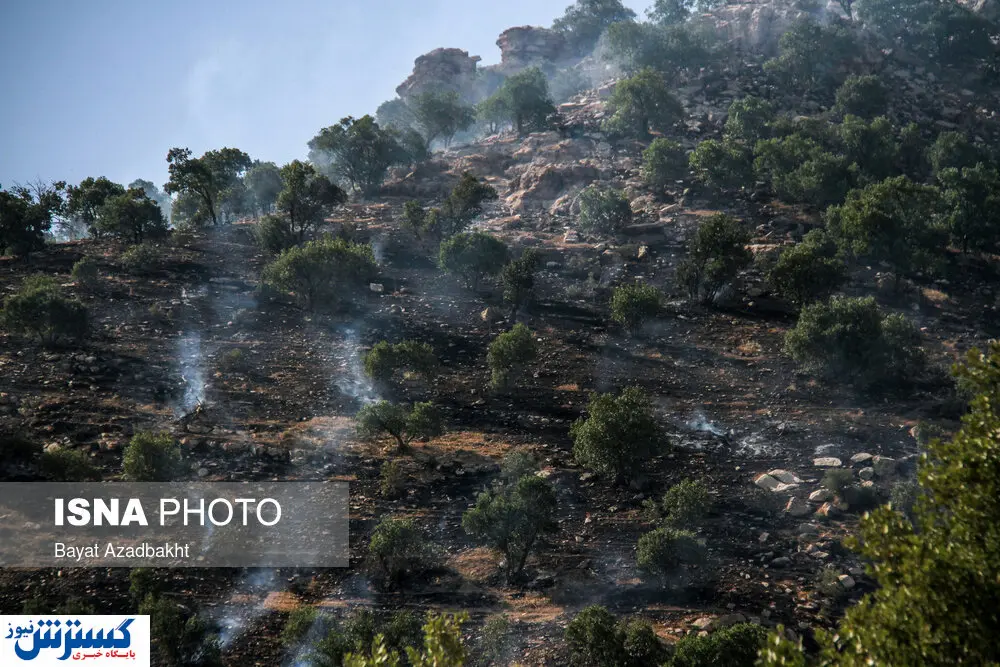تصاویر/ پدیده هرساله جنگلسوزی در زاگرس