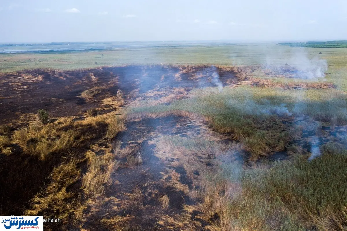 تصاویر/ اطفای حریق تالاب انزلی پس از سه روز