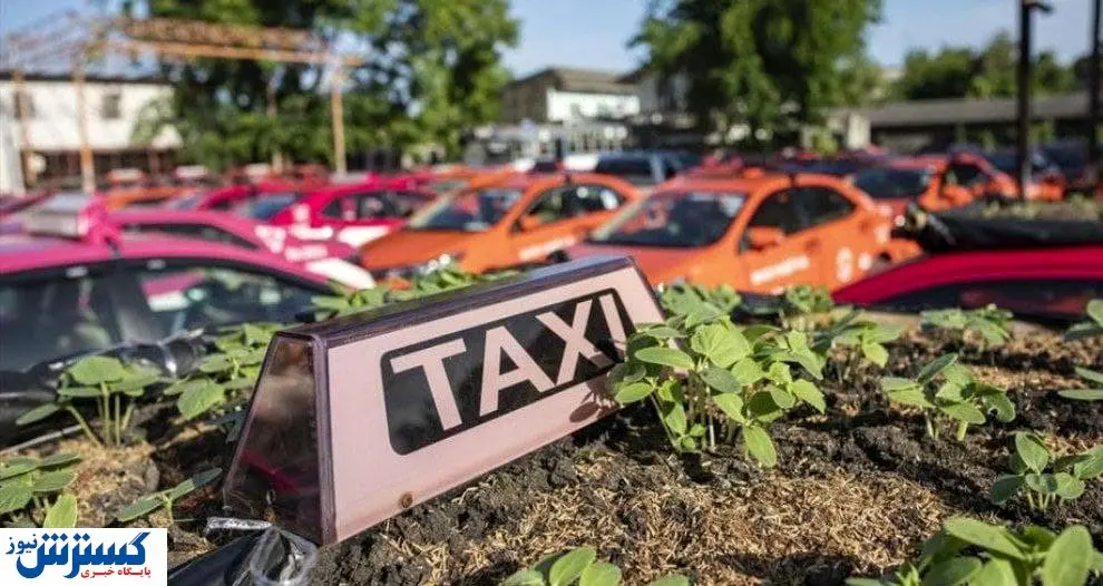 تاکسی هایی که باغچه شدند! +تصاویر