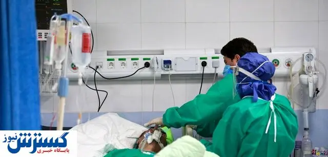 دلیل افزایش عفونت قارچ سیاه در پیک پنجم