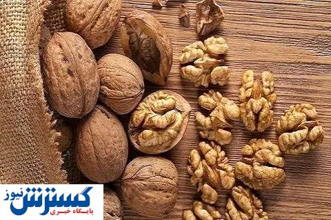 واردات این میوه محبوب ممنوع شد