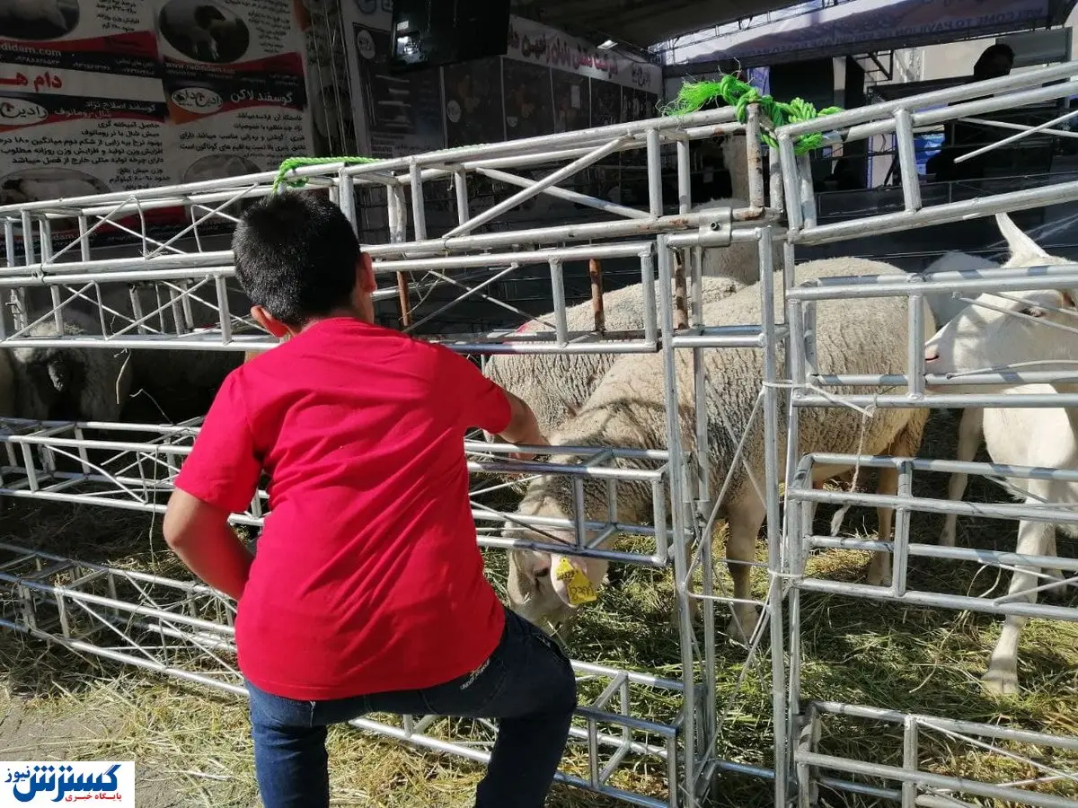 تصاویر / افتتاح بیستمین بزرگترین نمایشگاه دام و طیور تهران