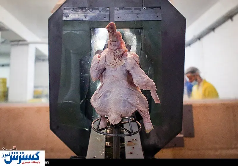 تصاویر/ استقبال مردمی از فراوردههای گوشتی
