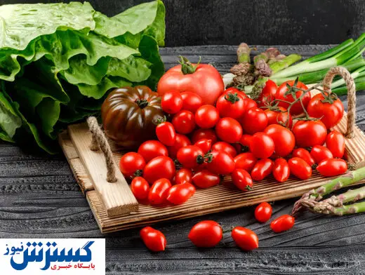 کاهش قیمت گوجه فرنگی در راه است + جزییات