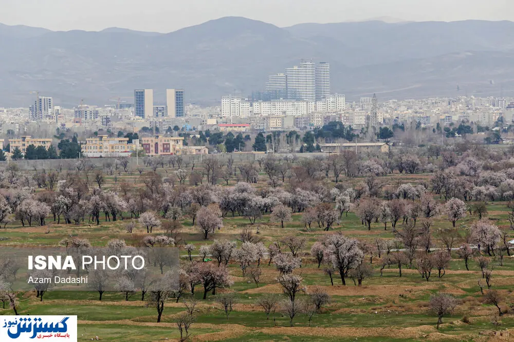 تصاویر/ شکوفههای بهاری قزوین