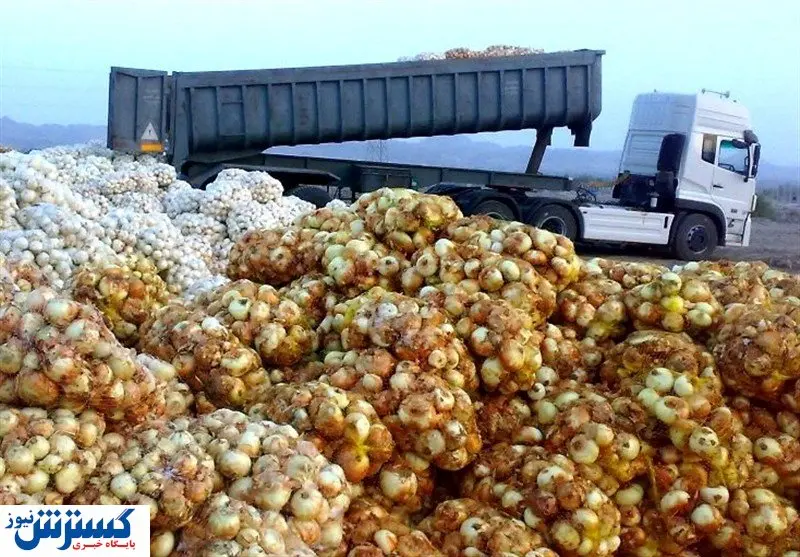 افزایش ۲ برابری عوارض صادرات پیاز