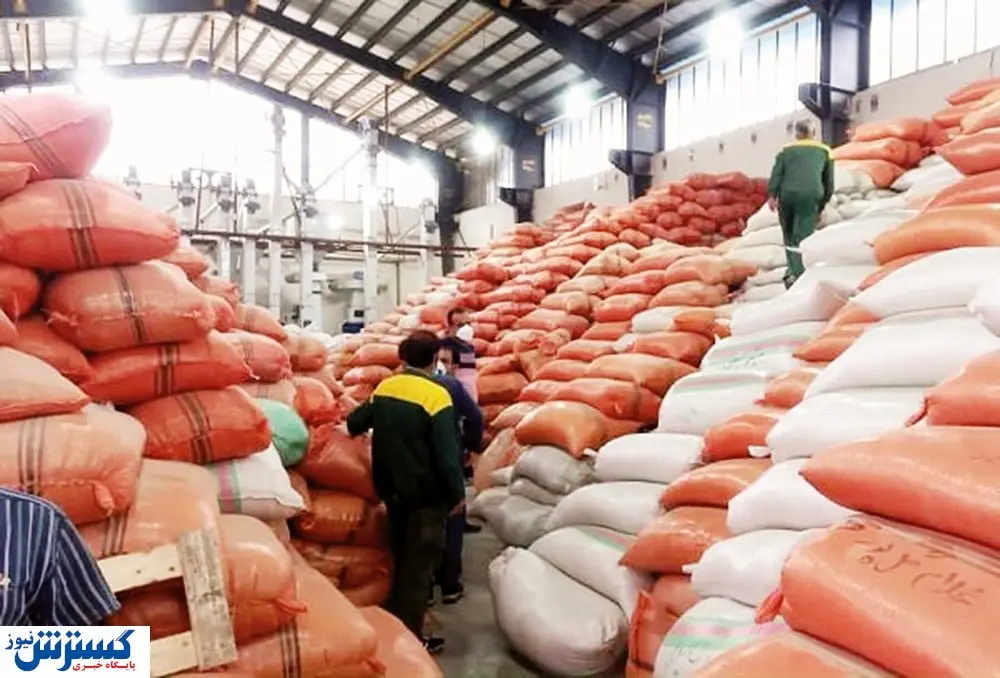 شالیکاران مات شدند!