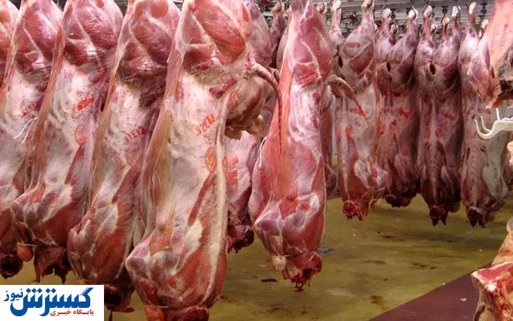 میزان عرضه گوشت قرمز در اسفند ۱۴۰۰ اعلام شد
