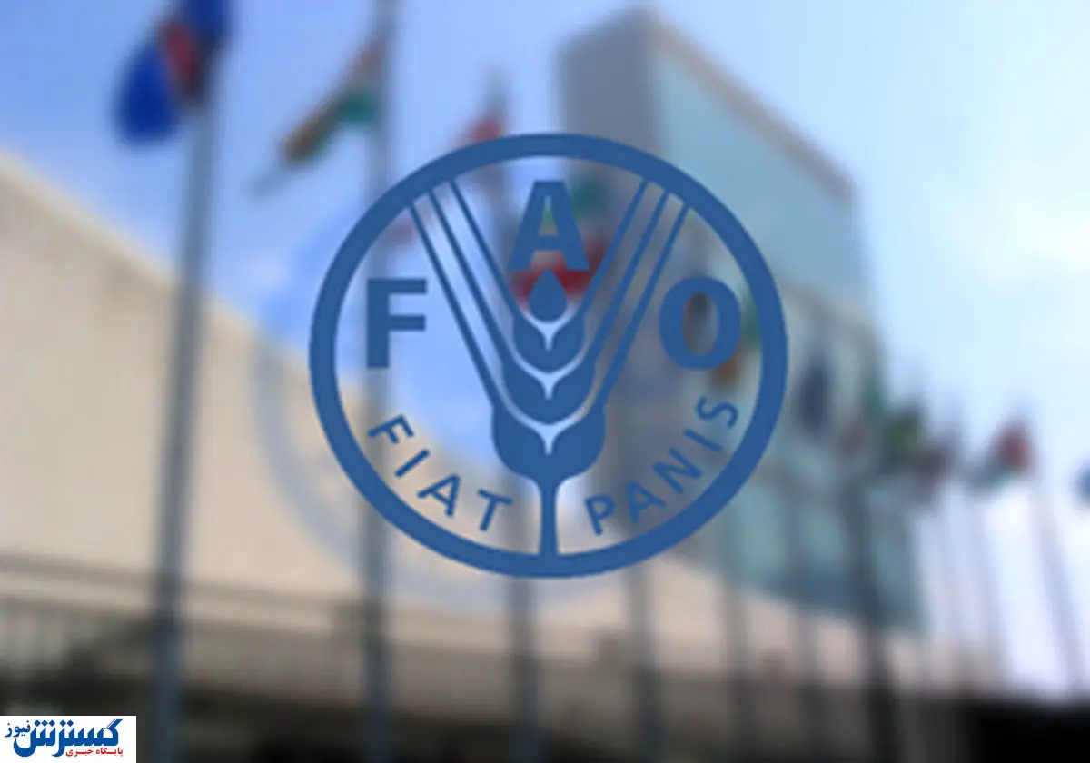 رتبه ایران در بین بزرگترین واردکنندگان مواد غذایی در جهان