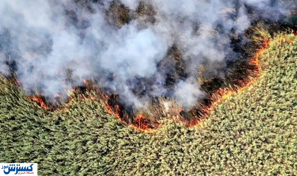 ادامه آتشسوزی تالاب هورالعظیم / قطعی اینترنت مشکل ساز شد