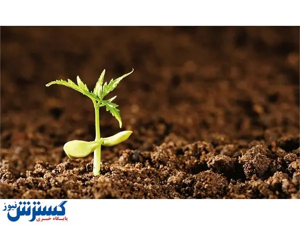 توجه ویژه به حفظ خاک در برنامه هفتم