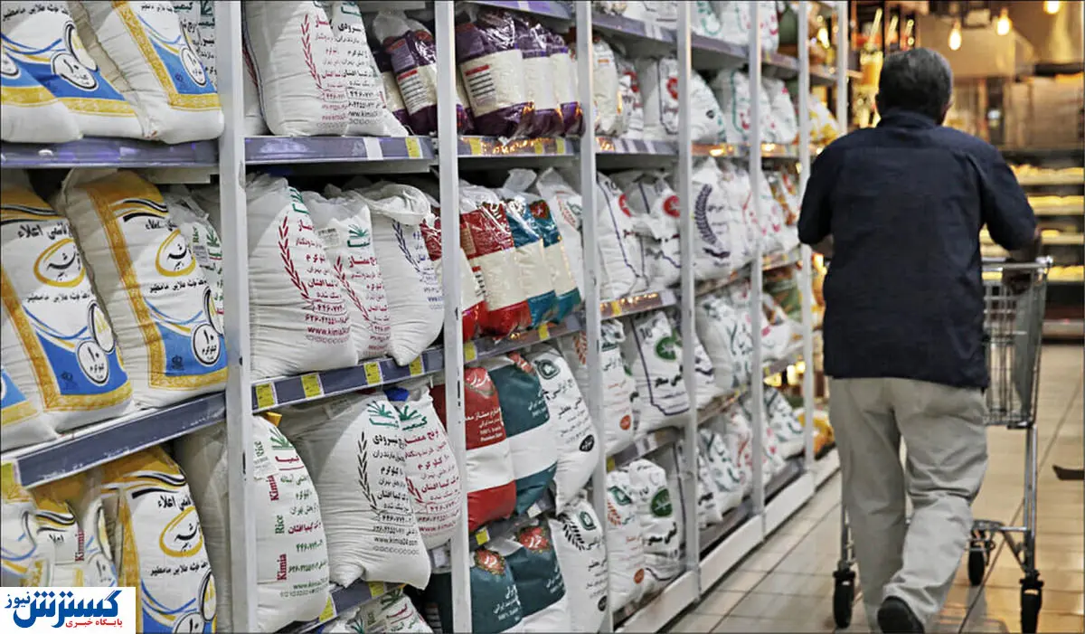 قیمت جدید انواع برنج در بازار (۱ فروردین)