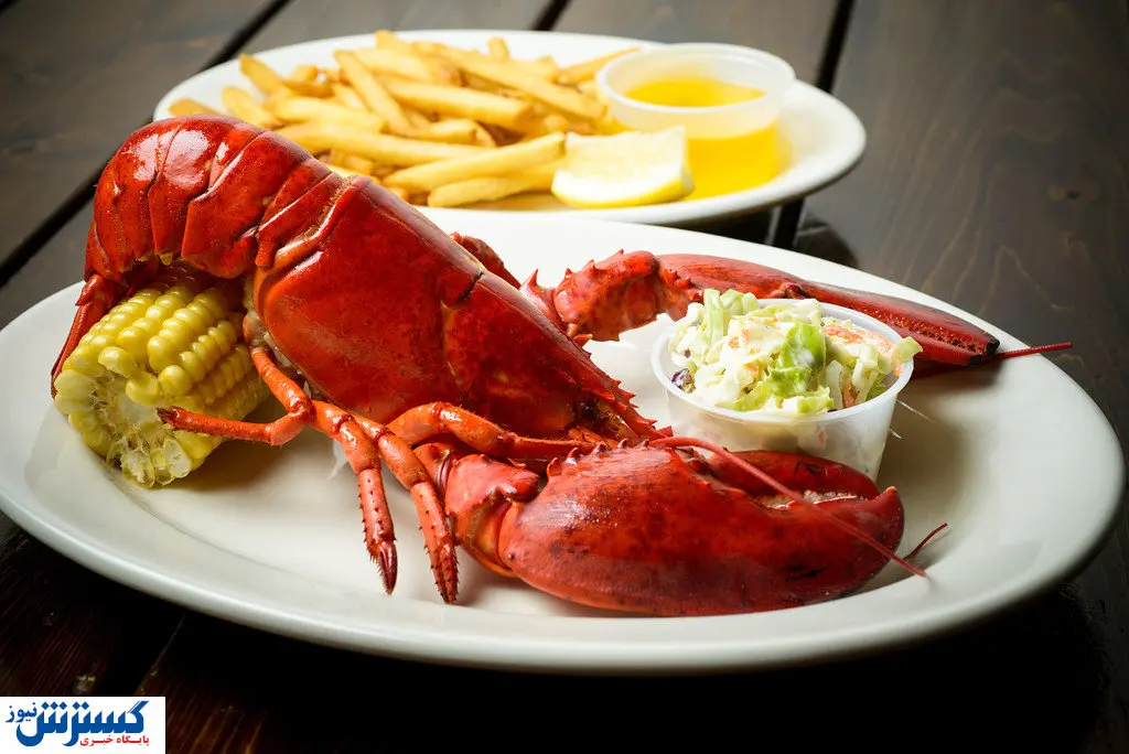 آشنایی با چندش آور ترین غذاهای دنیا