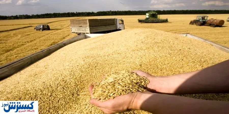 کشف ۵۰ تن گندم احتکار شده
