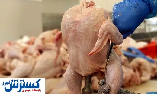 جدیدترین قیمت مرغ اعلام شد
