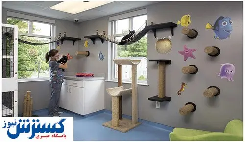 اقامت حیوانات در هتل ۵ ستاره / هزینه نگهداری پت در هتل ها چقدر است؟