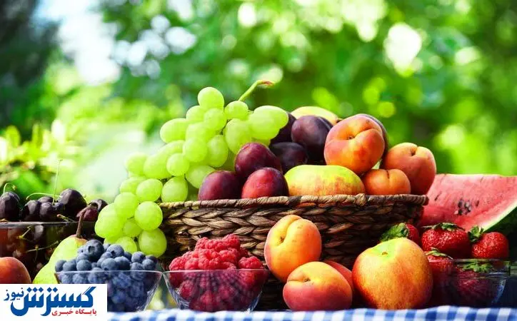 کاهش ۳۰ درصدی قیمت میوه/ موز ارزان میشود