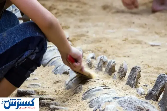 این دایناسور آسفالت جاده را شکافت / ماجرا چیست؟