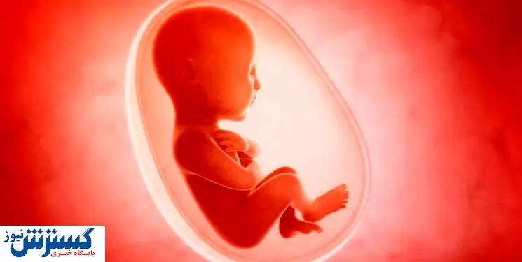 اجرای طرحی برای نجات فرزندان از سقط