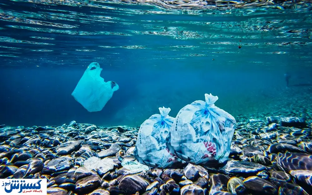پلاستیک بلای جان محیط زیست / همه در خطر هستند