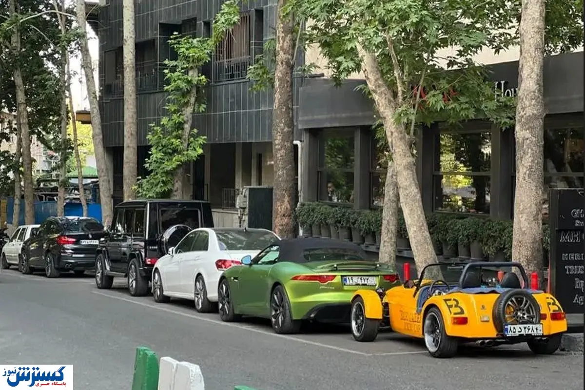 ماشین پارک کن پول بگیر! / شغلی که از آن خبر ندارید