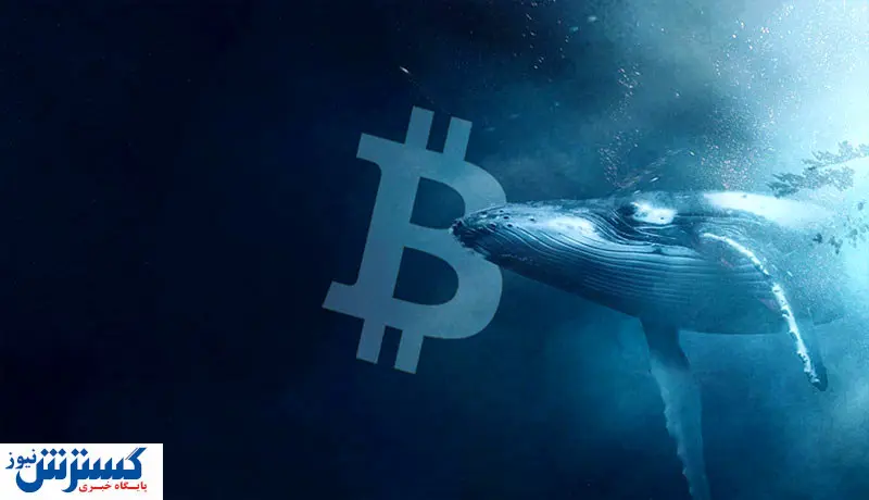 نهنگهای بیت کوین دست به کار شدند