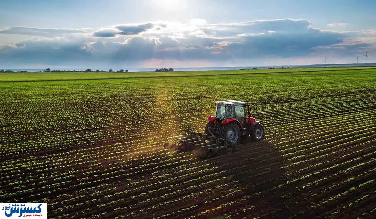 غذای ۱۸ میلیون نفر در ایران دورریز میشود