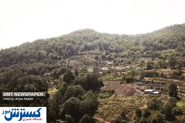 تـیـشه بر ریـشـه جـنگـلها