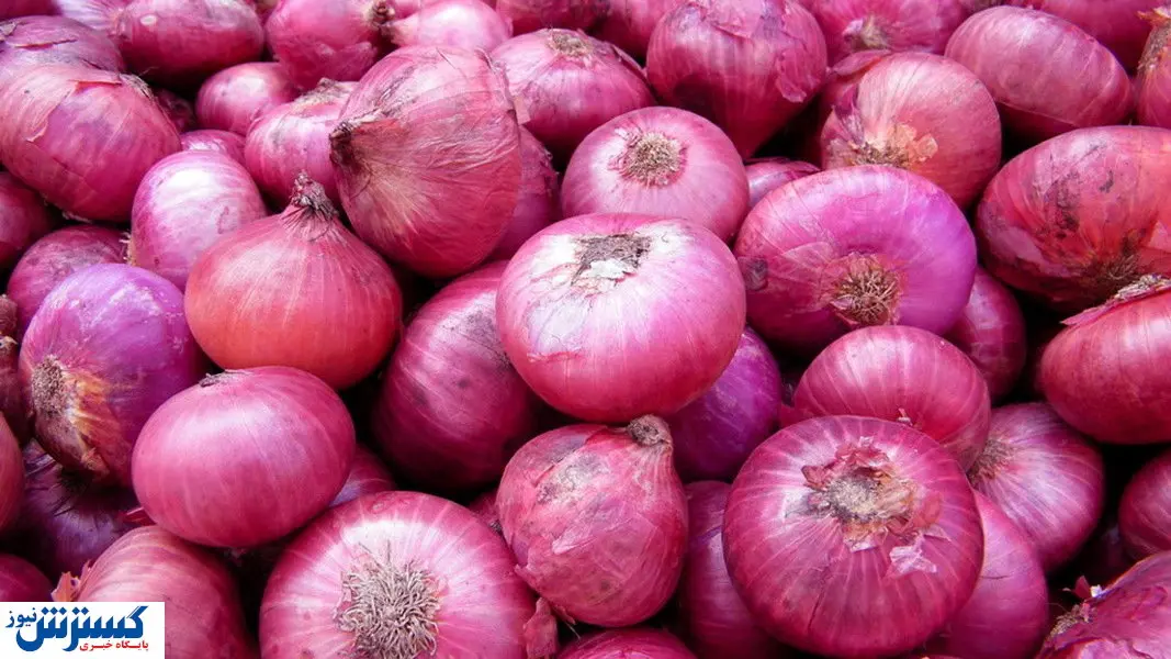 پیاز خام یا پخته؟ خواص این ماده را بخوانید