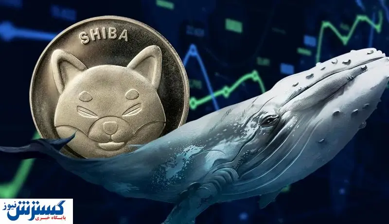 افزایش عجیب تراکنشهای شیبا اینو / ماجرا از چه قرار است؟