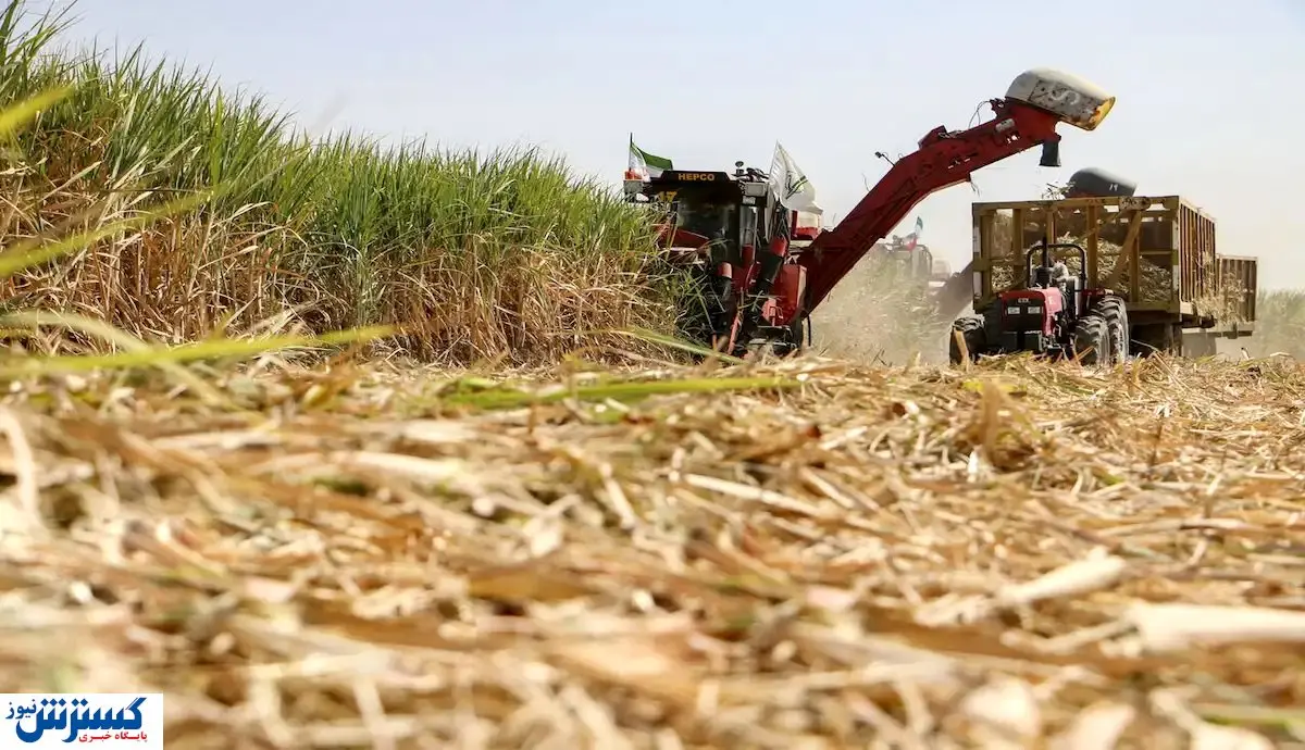 تعلل وزارت کشاورزی قیمت شکر را بالا میبرد؟