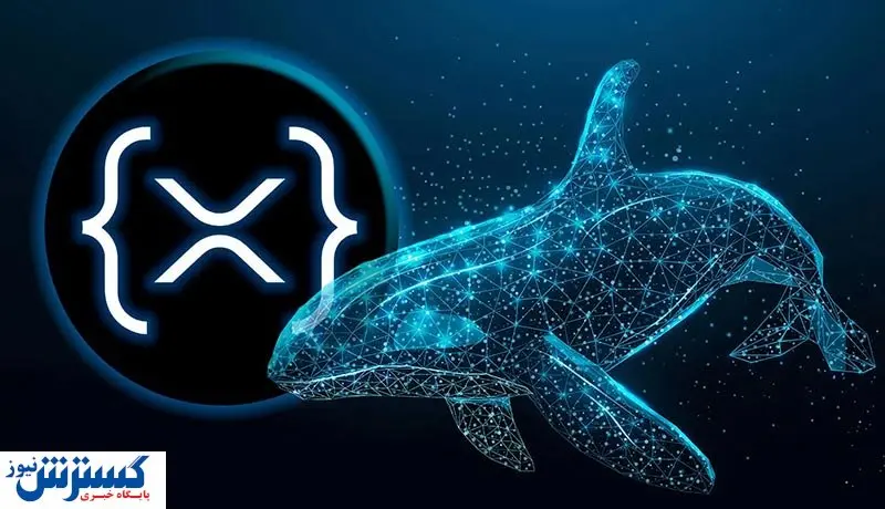 نهنگهای ریپل به انبار کردن ادامه میدهند / افزایش قیمت در راه است؟