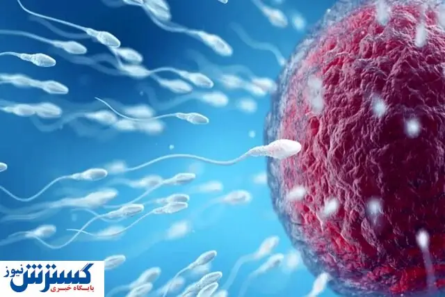 کشف دلیل اصلی ناباروری