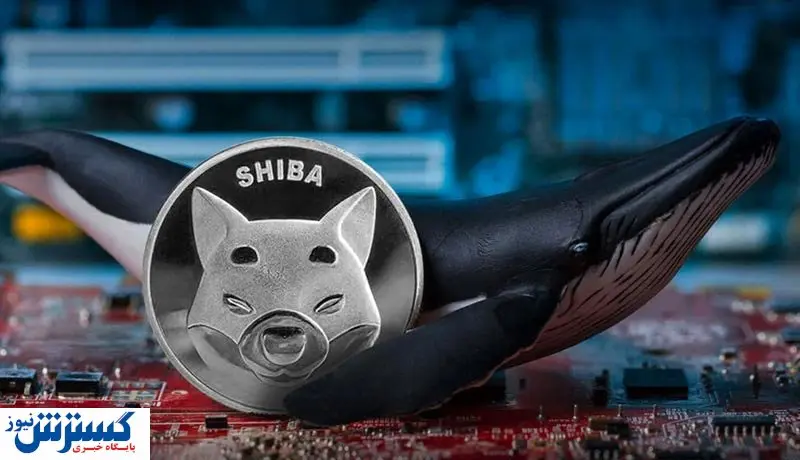 حمله نهنگهای مرموز به شیبا اینو / ماجرا چیست؟