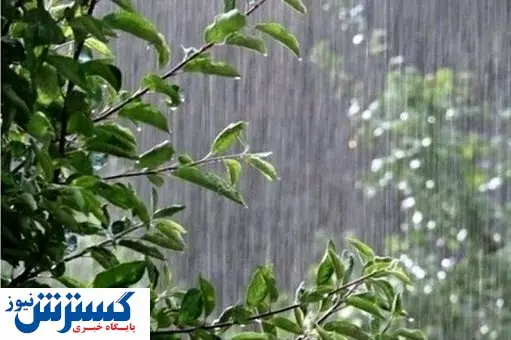 هوای سرد در راه است/ این استان ها منتظر بارش باشند