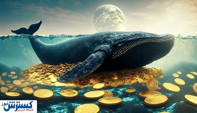 نهنگ ها کدام رمزارز را انبار کردند / برترین ارزهای دیجیتال بازار