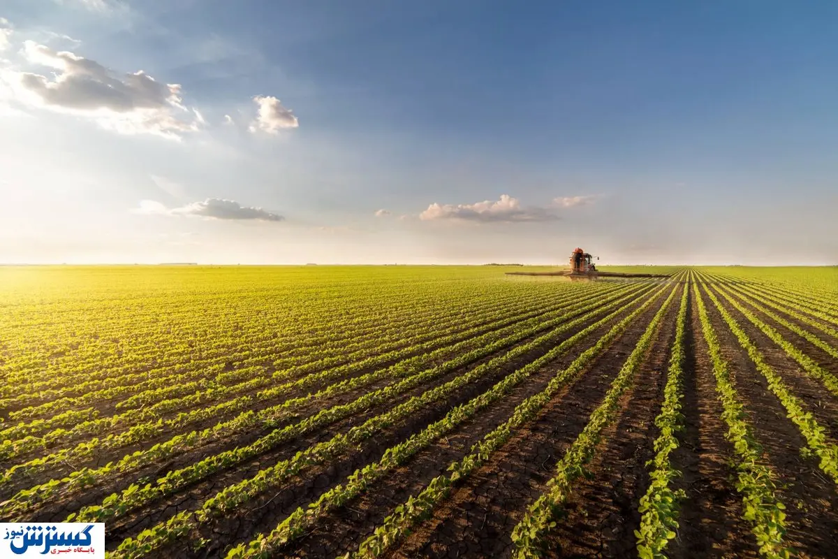 کشت دستوری نداریم / مدیریت منابع آبی در دستور کار مجلس