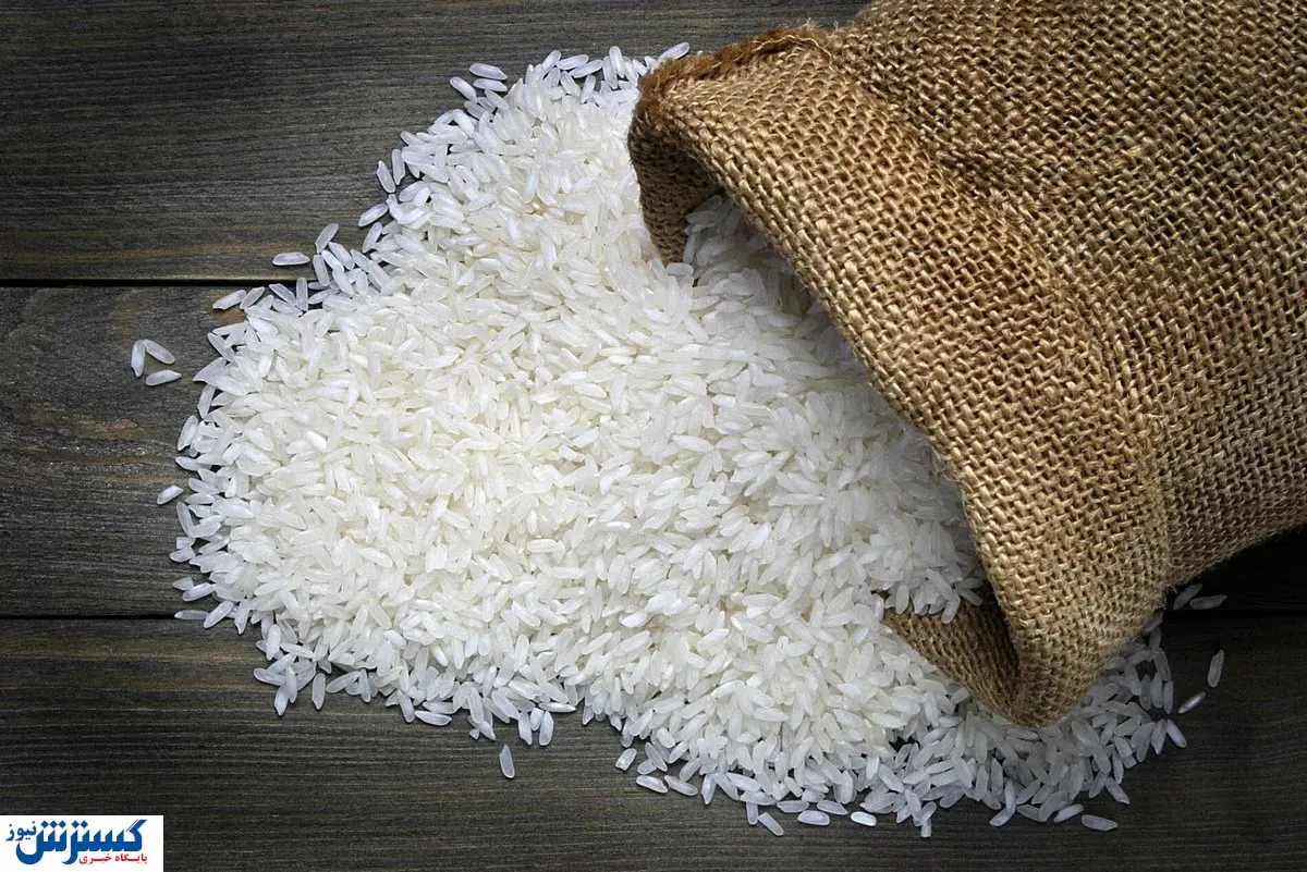 تیر خلاص وزیر اقتصاد به واردات برنج / دولت حجت را تمام کرد